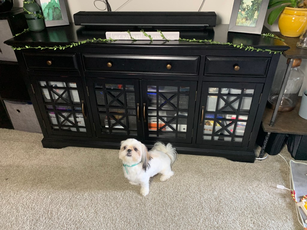 Media Console for Your Media and&nbsp;Consoles!